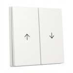 GIRA 329403 Wippe 2f Pfeil System 55 Reinweiß