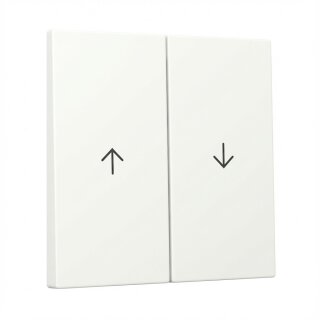 GIRA 329427 Wippe 2f Pfeil System 55 Reinweiß m