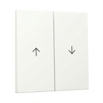 GIRA 329427 Wippe 2f Pfeil System 55 Reinweiß m