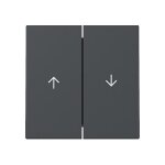 GIRA 329428 Wippe 2f Pfeil System 55 Anthrazit