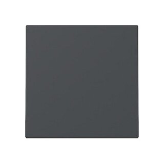 GIRA 329628 Wippe System 55 Anthrazit