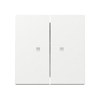 GIRA 363103 Wippe 2f Kontrollf. System 55 Reinweiß