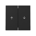 GIRA 3294005 Wippe 2f Pfeil System 55 Schwarz m