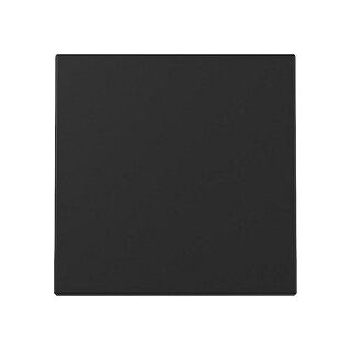 GIRA 3296005 Wippe System 55 Schwarz m