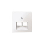 MERTEN 2961 25 Zentralplatte 2f für UAE-Einsatz...