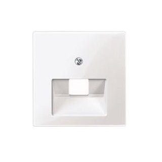 MERTEN 296225 aws Zentralplatte 1-f f UAE-Einsatz glänzend