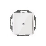 MERTEN 296319 Zentralplatte Leitungsauslass pws SYSTEM M