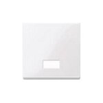 MERTEN 432825 aws Wippe m Symbolfenster rechteckig...