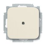 BUSCH JAEGER BJ 2538-212 Blindzentralscheibe...