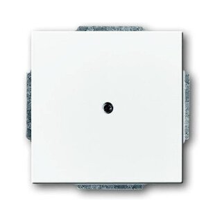 BUSCH JAEGER BJ 1742-84 Blindzentralscheibe Daten- Kommunikations-Technik studioweiß