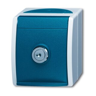 BUSCH JAEGER BJ 20EWSL-53 Steckdose m.Sicherheits- Schloss ocean IP44 grau/blaugrün