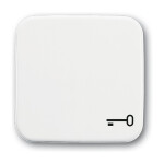 BUSCH JAEGER BJ 2520TR-214 Abdeckung f.Taster m.Symbol...