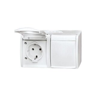 BUSCH JAEGER BJ 20/2EW-54 Steckdose m.Klappdeckel waagerecht 2f ocean IP44 alpinweiß