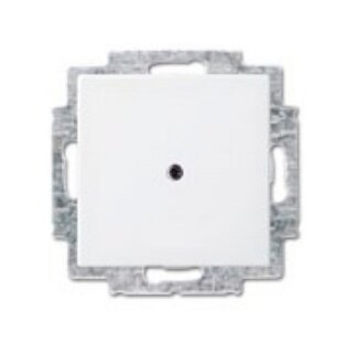 BUSCH JAEGER BJ 2538-914 Blindzentralscheibe alpinws Busch balance SI Abd.Datenkommunikation