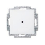 BUSCH JAEGER BJ 2538-914 Blindzentralscheibe alpinws...