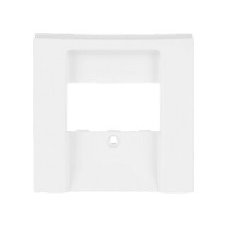 BUSCH JAEGER BJ 2539-914 Zentralscheibe aws Busch-balance SI Abd.Datenkommunikation