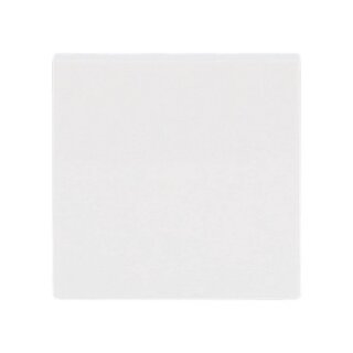 BUSCH JAEGER BJ 2506-914 Wippe Busch-balance SI alpinweiß für Schalter/Taster