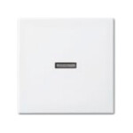 BUSCH JAEGER BJ 1789 N-914 Wippe aws Busch-balance SI...