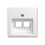 BUSCH JAEGER BJ 1803-02-914 Zentralscheibe...