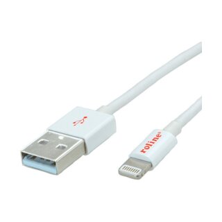 ROLINE 8PIN/USB LADE-/SYNCHROKABEL