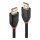 LINDY Aktives DisplayPort 1.2 Kabel 15M