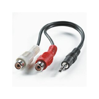 ROLINE 3.5MM/CINCH (2XBU) KABEL.0.2M