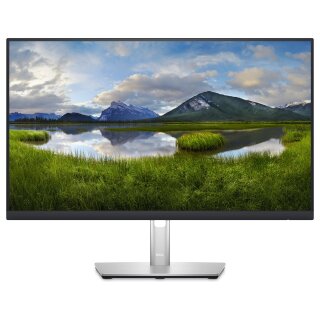 61cm/24 (2560x1440) Dell P2423DE 8ms IPS HDMI DisplayPort USB-C USB VESA Pivot QHD Black/Silver