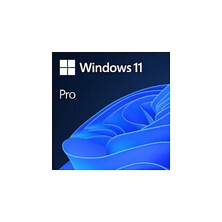 Microsoft Windows 11 Pro 64 Bit - 1 PC - ESD-DownloadESD