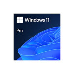 Microsoft Windows 11 Pro 64 Bit - 1 PC - ESD-DownloadESD