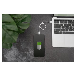 DIGITUS Daten- / Ladekabel, USB-C - Lightning, MFI 1,0m