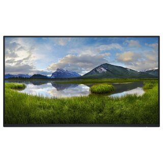 60.47cm/23.8" (1920x1080) Dell P2425H Without Stand 16:9 FHD IPS 5ms 100Hz HDMI DP VGA USB-C Black/Silver