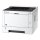 L Kyocera ECOSYS P2040dw Laserdrucker 40S./min. USB Wifi Duplex *EU