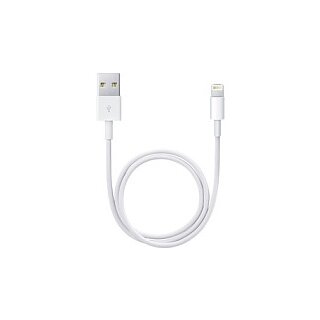 Apple Lightning - USB Kabel 0,5M Bulk