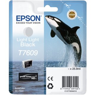 Epson C13T76094010 light black