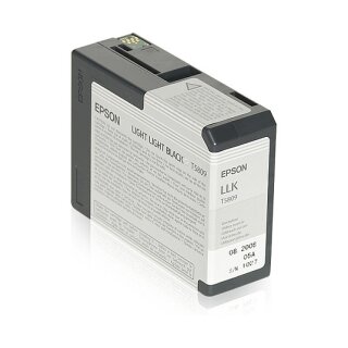 Epson C13T580900 light black