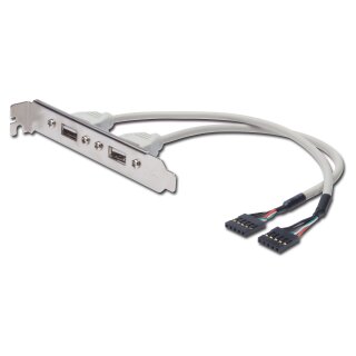 DIGITUS Slotblech 2xUSB/A -> IDC 2x5Pin Bu/Bu 0.25m Polybeutel