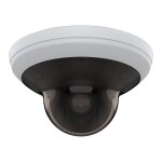 Axis Netzwerkkamera Panorama Dome M5000-G EU 15 MP 360°
