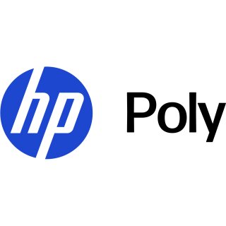HP Poly CS540 Earloops and Earbuds
