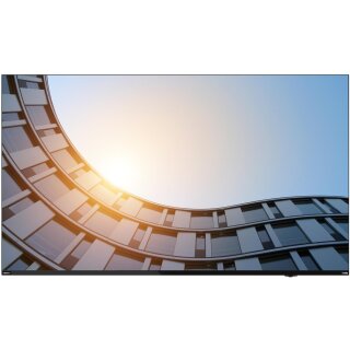 Lenovo THINKVISION E65