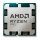 AMD Ryzen 5 8500GE PRO 5.05GHz AM5 22MB Cache Tray