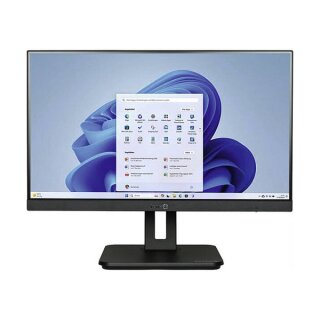 TERRA ALL-IN-ONE-PC 2410HA GREENLINE