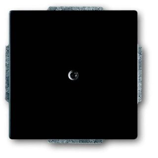 BUSCH JAEGER BJ 1742-885 Blindzentralscheibe future linear schwarz matt