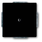 BUSCH JAEGER BJ 1742-885 Blindzentralscheibe future...