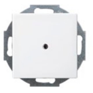 BUSCH JAEGER BJ 2527-914 Zentralscheibe alpinweiß Busch-balance SI Abd.Datenkommunikation