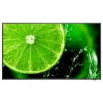 NEC MultiSync E558 55 Display UHD