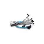 RAID Kabel SAS Mini SAS HD auf 2x OCulink U.2 Enabler...