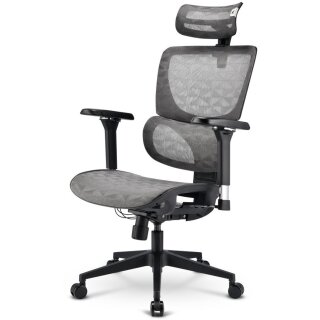 Sharkoon Brostuhl OfficePal C40M (grau)