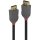 LINDY DisplayPort 1.4 Kabel Anthra Line 2m St/St A/B schwarz