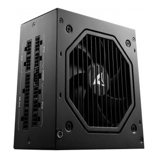 750WSharkoon Rebel P15 750 (1x 12-Pin High Power GPU, 4x PCIe, Kabelmanagement, 750 Watt)