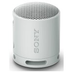 Sony SRS-XB100H BT-Speaker grey